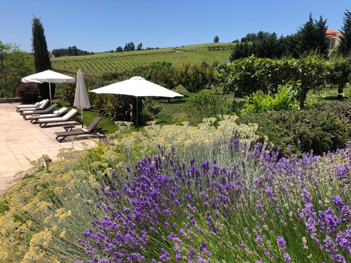 Quinta Da Pereira E Enricas Agro-Turismo Otel Vila Flor Dış mekan fotoğraf