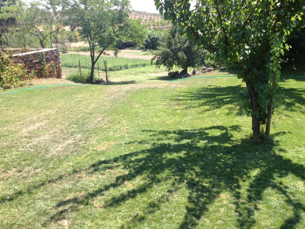 Quinta Da Pereira E Enricas Agro-Turismo Otel Vila Flor Dış mekan fotoğraf