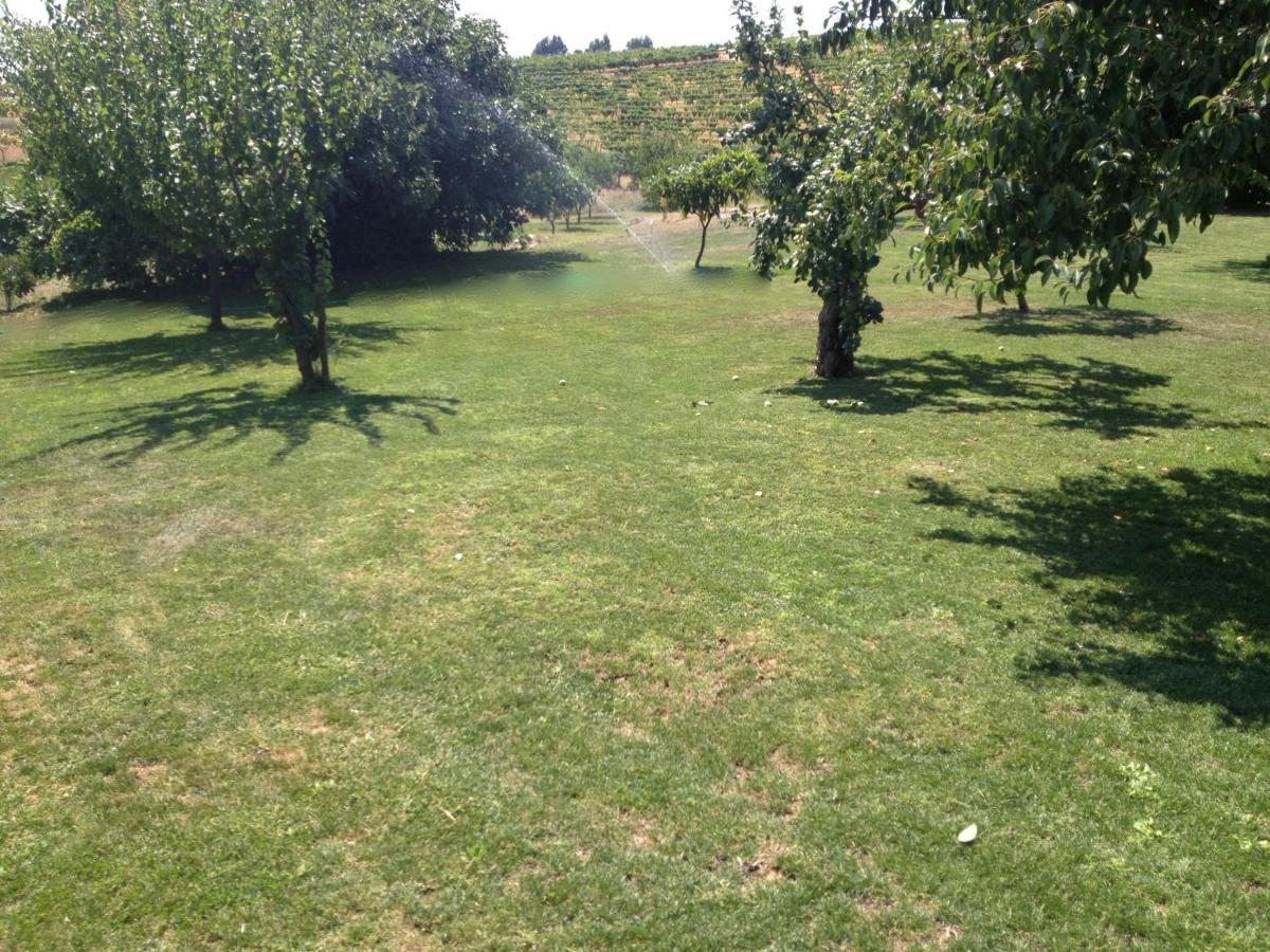Quinta Da Pereira E Enricas Agro-Turismo Otel Vila Flor Dış mekan fotoğraf