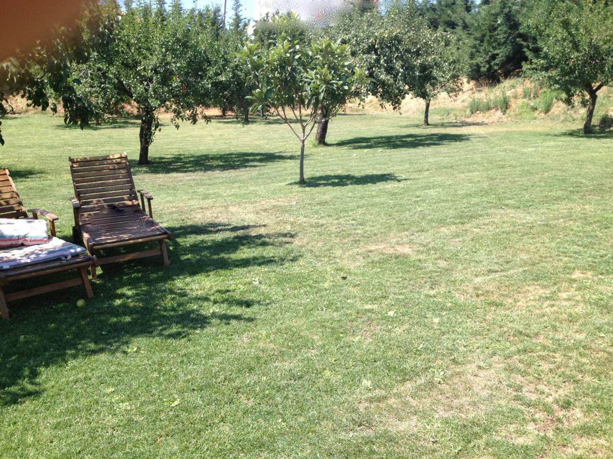 Quinta Da Pereira E Enricas Agro-Turismo Otel Vila Flor Dış mekan fotoğraf